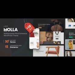 Molla v1.2.1 - Multi-Purpose WooCommerce Theme