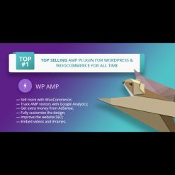 WP AMP v9.3.16 - Accelerated Mobile Pages