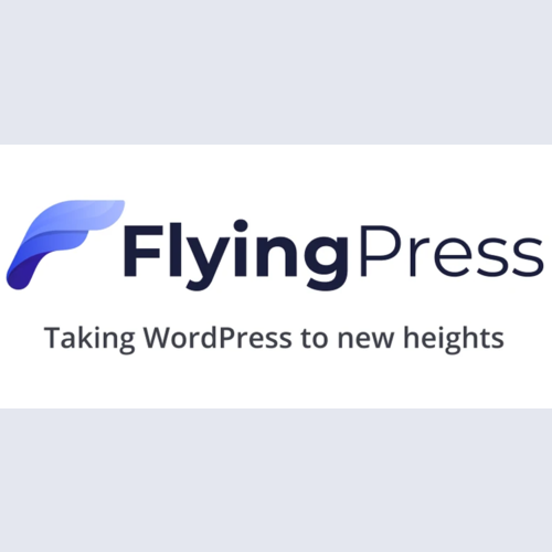 FlyingPress - Taking WordPress To New Heights