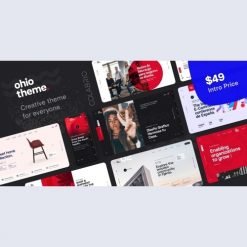 Ohio - Creative Portfolio & Agency WordPress Theme