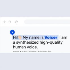 Voicer - Text to Speech Plugin for WordPress