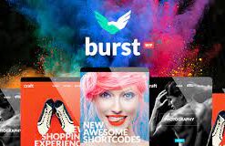 Burst v3.5 - A Bold and Vibrant WordPress Theme