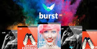 Burst v3.5 - A Bold and Vibrant WordPress Theme