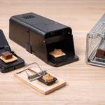 How to Get Rid of Mice: Effective Methods to Keep Your Home Mouse-Free