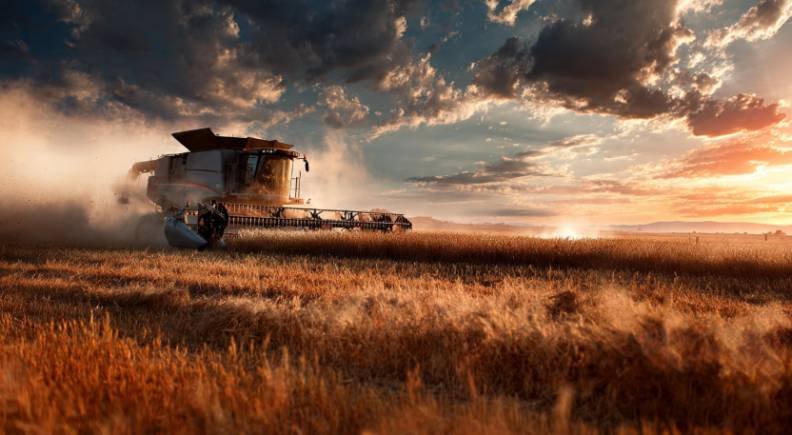 Overcoming Challenges and Looking Ahead