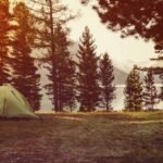 Room-to-Roam---Smart-Strategies-for-Expanding-Your-Campground