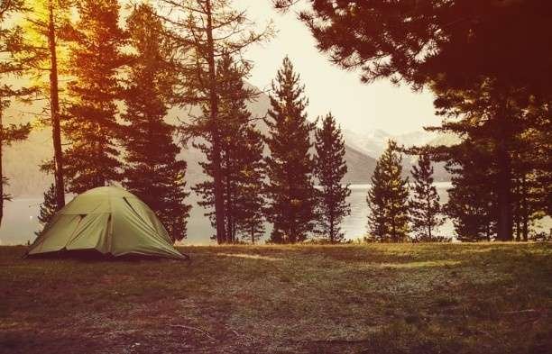 Room to Roam: Smart Strategies for Expanding Your Campground