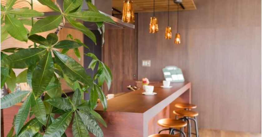 Aesthetic Cafe Ideas That Turn Coffee Shops Into Instagram Dreams