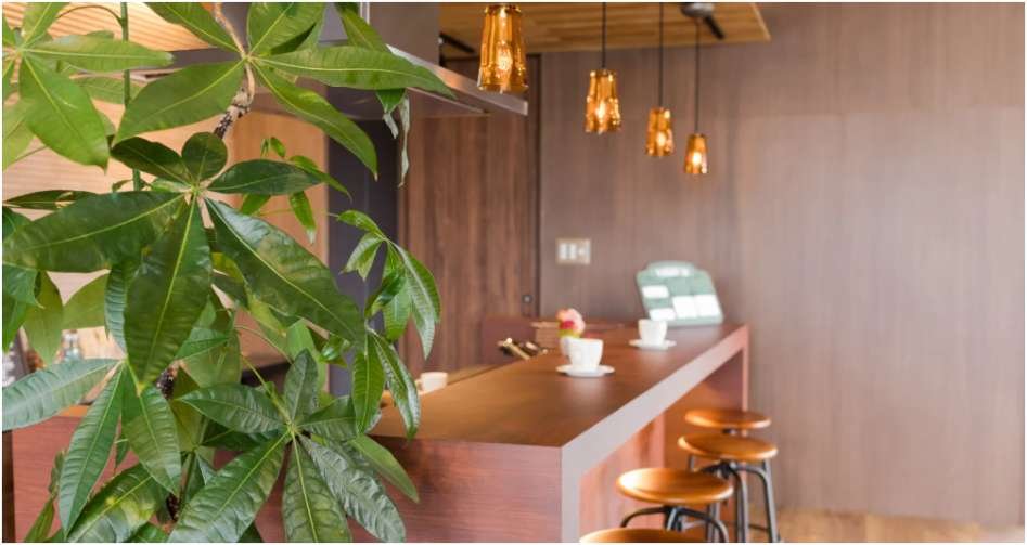 Aesthetic Cafe Ideas That Turn Coffee Shops Into Instagram Dreams