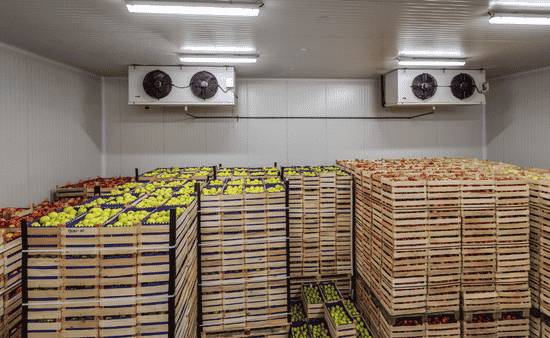 Climate-Controlled Cold Storage Units