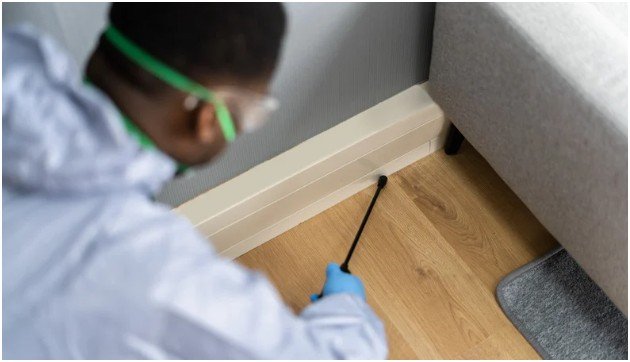 Termite Prevention Strategies Post-Inspection