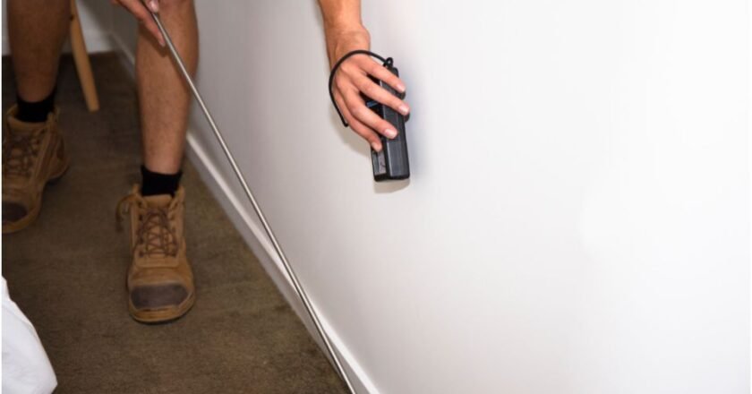 Comprehensive Termite Inspection in Sydney: Protect Your Home Effectively