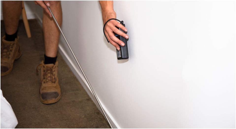 Comprehensive Termite Inspection in Sydney: Protect Your Home Effectively