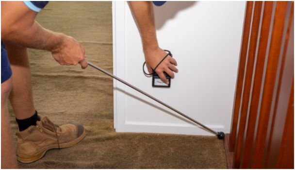 The Importance of a Professional Termite Inspection
